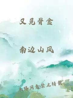 又见骨盒
