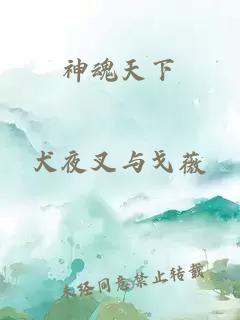 神魂天下
