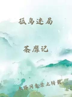 孤岛迷局
